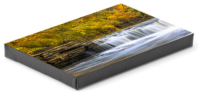 Canvas Art Print